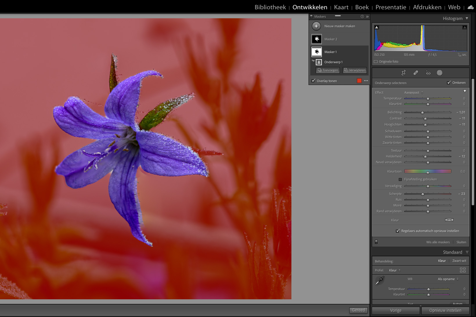 Selecties in Lightroom
